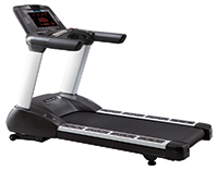 Tapis de Course Taïga 1.0