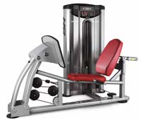 Poste cuisses et mollets Leg Press