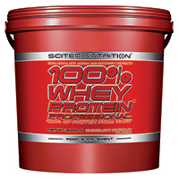 Whey protéine 100% Whey Protein Professional