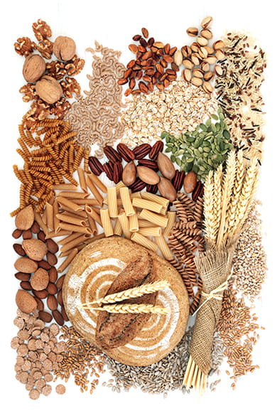 Que sont les glucides et à quoi servent-ils ?