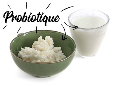 Le Yogourt et Kéfir