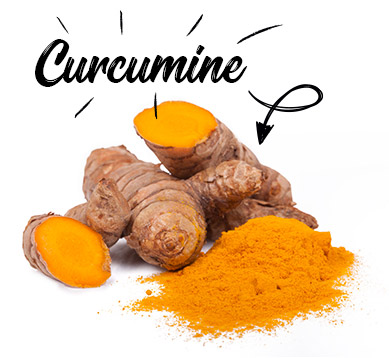 Le Curcuma