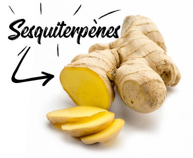 Le Gingembre