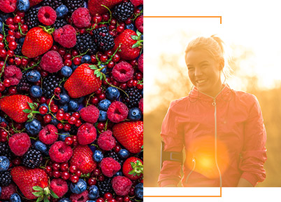 les vitamines et le corps humain