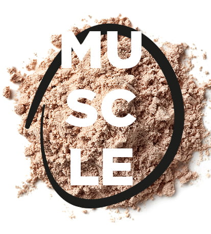 De quoi le corps à besoin après un effort musculaire