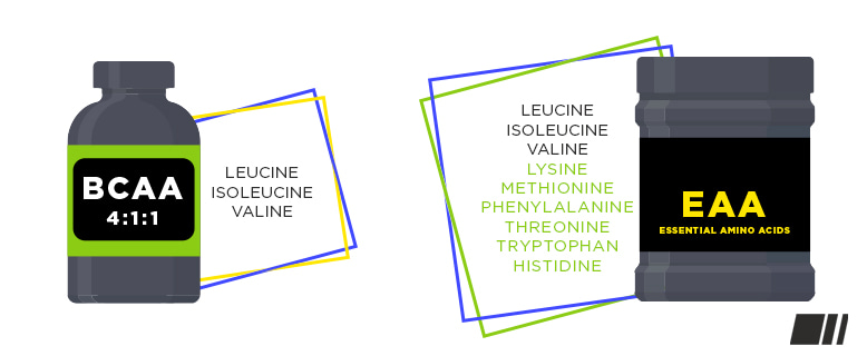 Quelles sont la différence entre les EAA et les BCAA ?