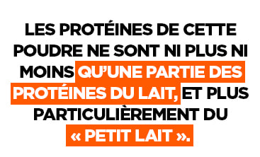 Qu'est ce que la Whey Protéine ?