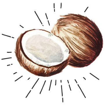 Les Coques de coco