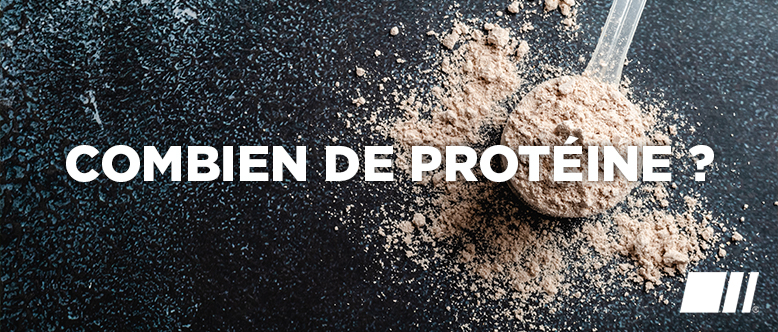 Combien de protéine par jour ?