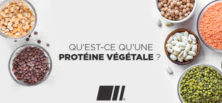 Qu'est-ce qu'une Protéine Végétale ?