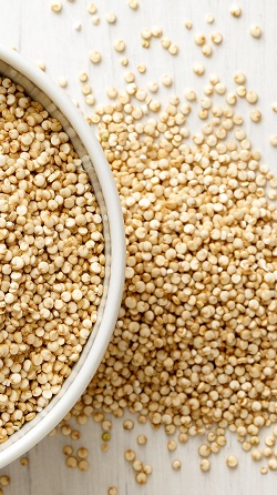 Protéines végétales dans le quinoa 