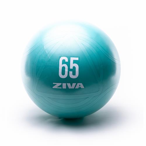 Médecine Ball - Gym Ball Ziva Core Fit Ball